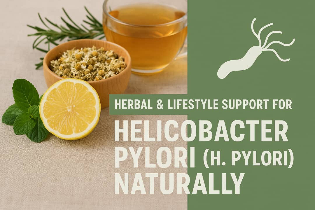 Herbal & Lifestyle Support for Helicobacter pylori (H. pylori) Naturally